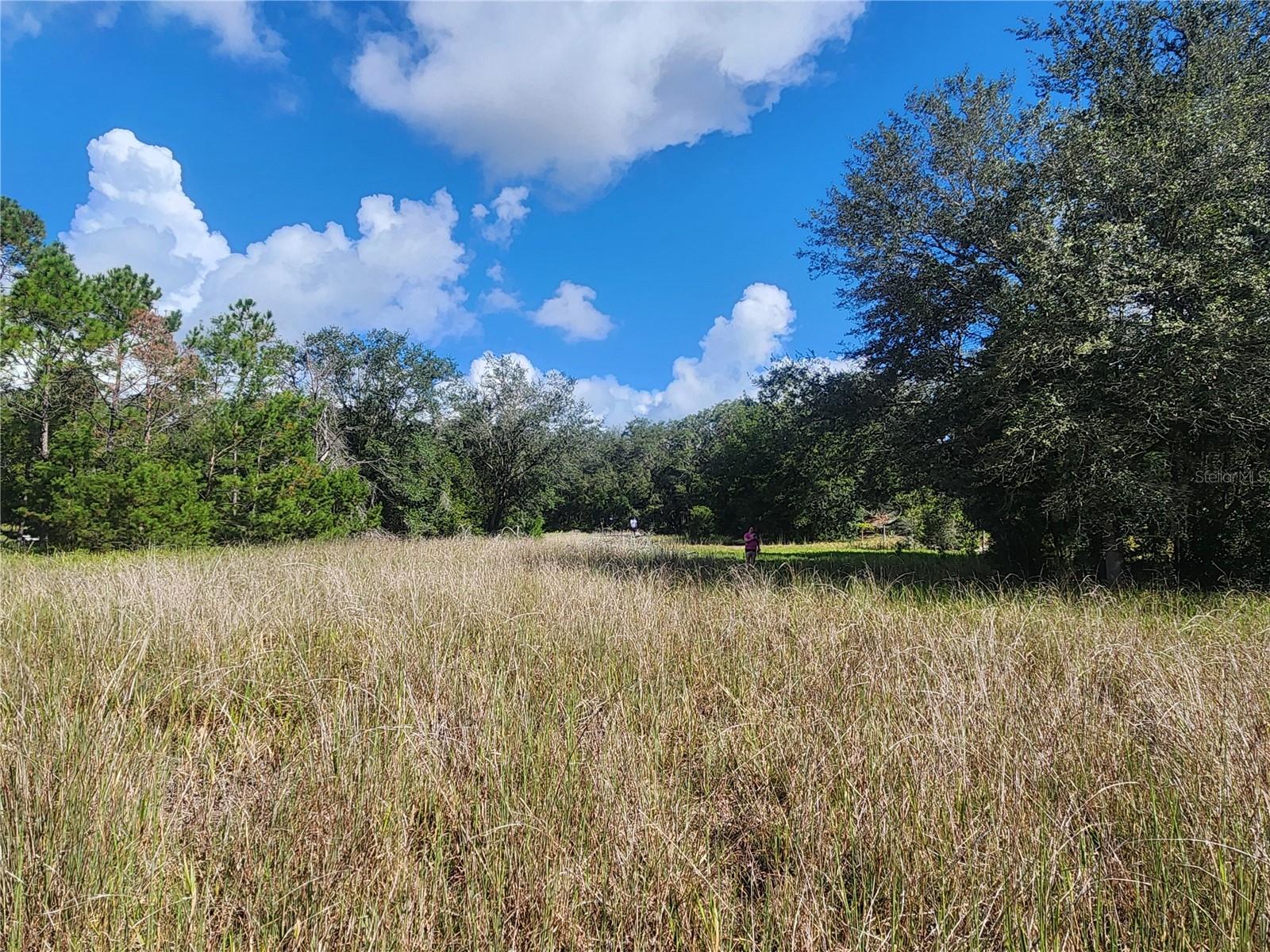 OM710654 Property Photo