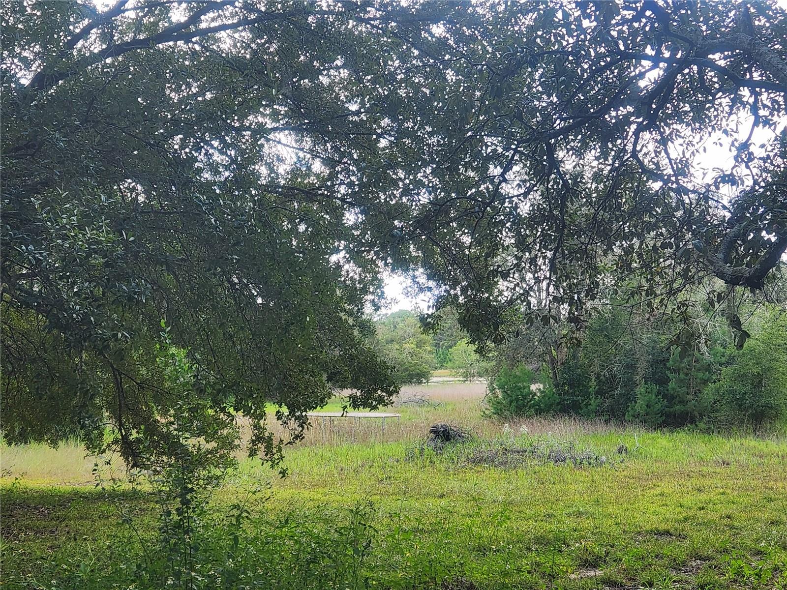 OM710654 Property Photo