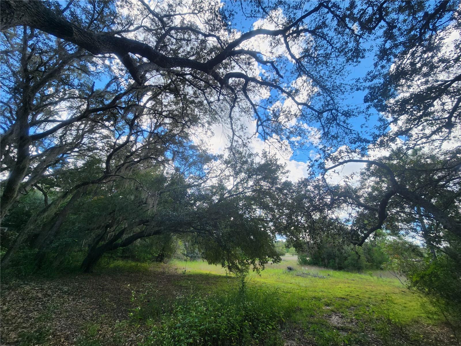 OM710654 Property Photo