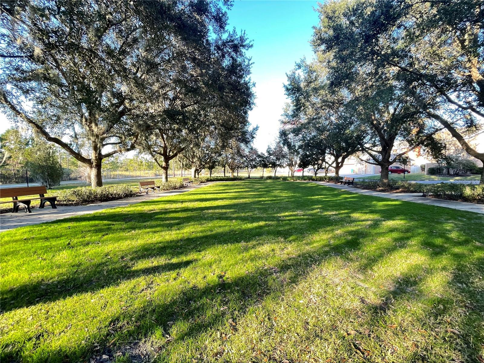 10060 HARTFORD MAROON RD, ORLANDO, FL, 32827