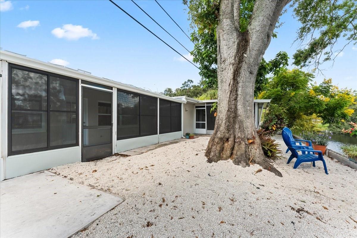 1155 E LOTUS DR, DUNEDIN, FL, 34698