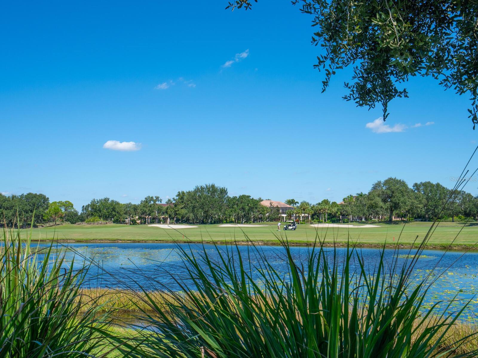 A4667067 Property Photo