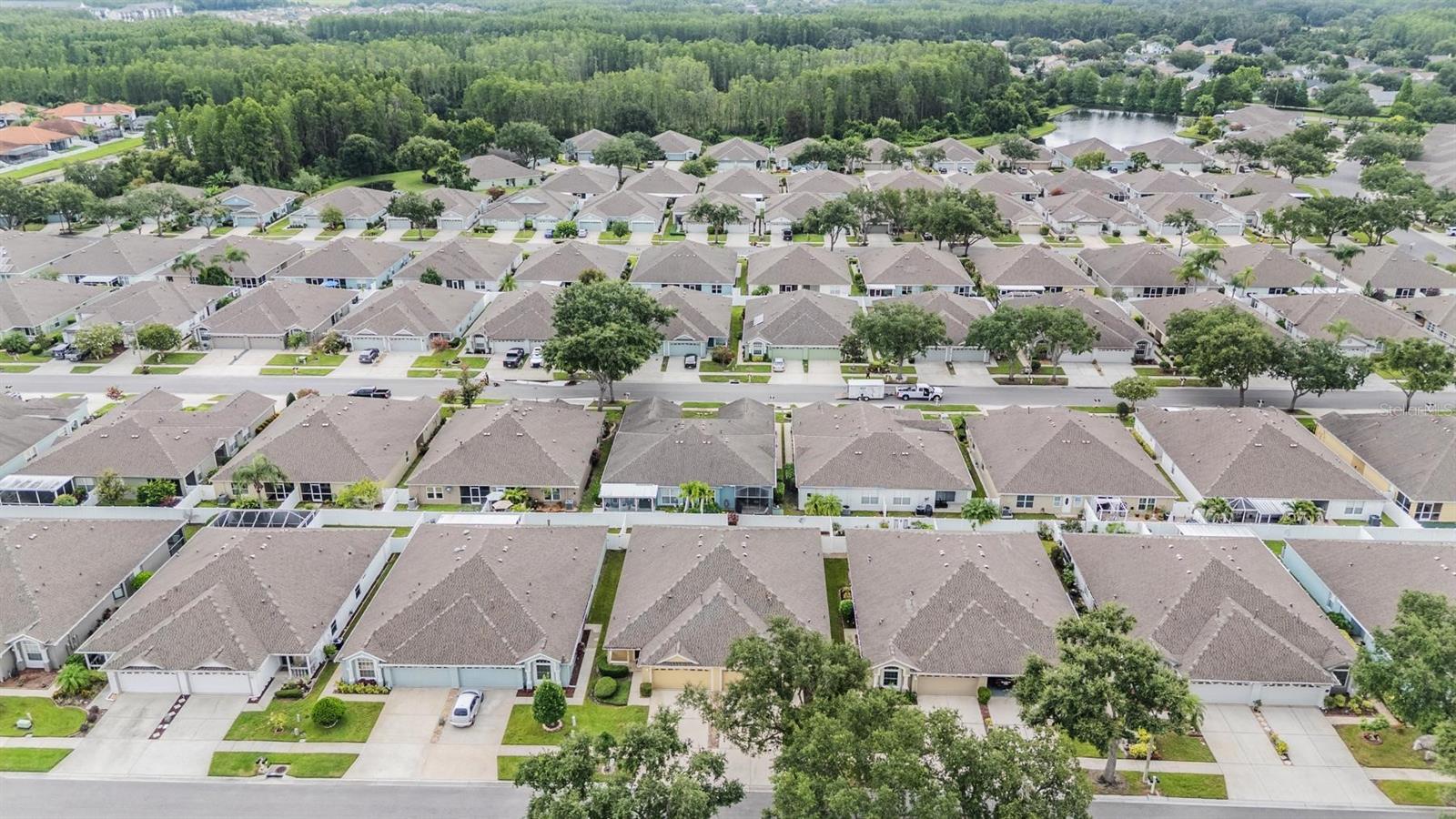 19351 HASKELL PL, LAND O LAKES, FL, 34638