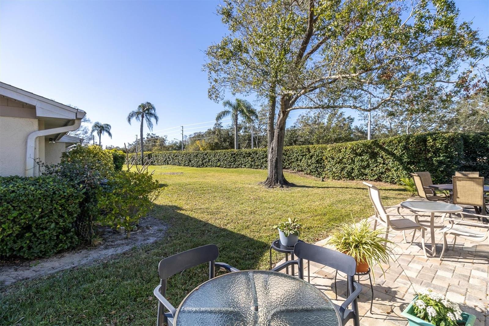 1035 DUNROBIN DR #C, PALM HARBOR, FL, 34684