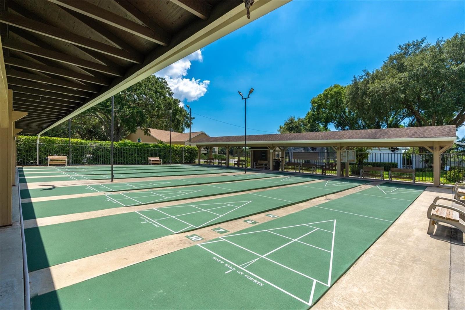 1035 DUNROBIN DR #C, PALM HARBOR, FL, 34684