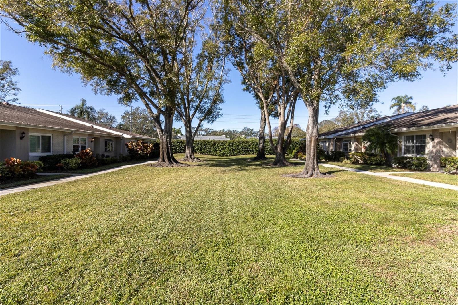 1035 DUNROBIN DR #C, PALM HARBOR, FL, 34684
