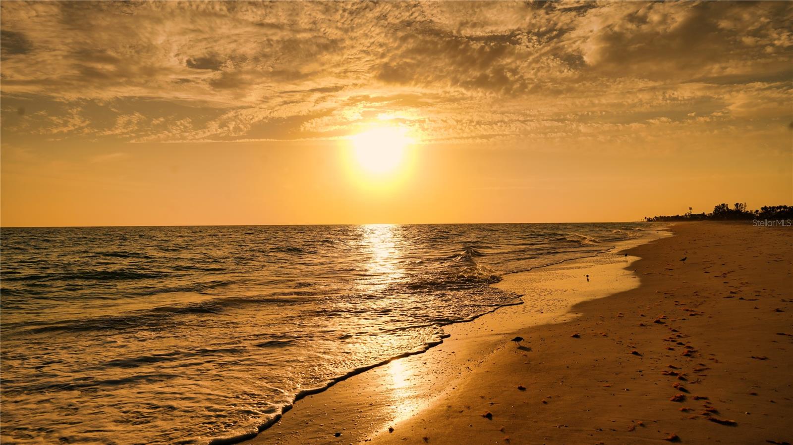 A4667111 Property Photo