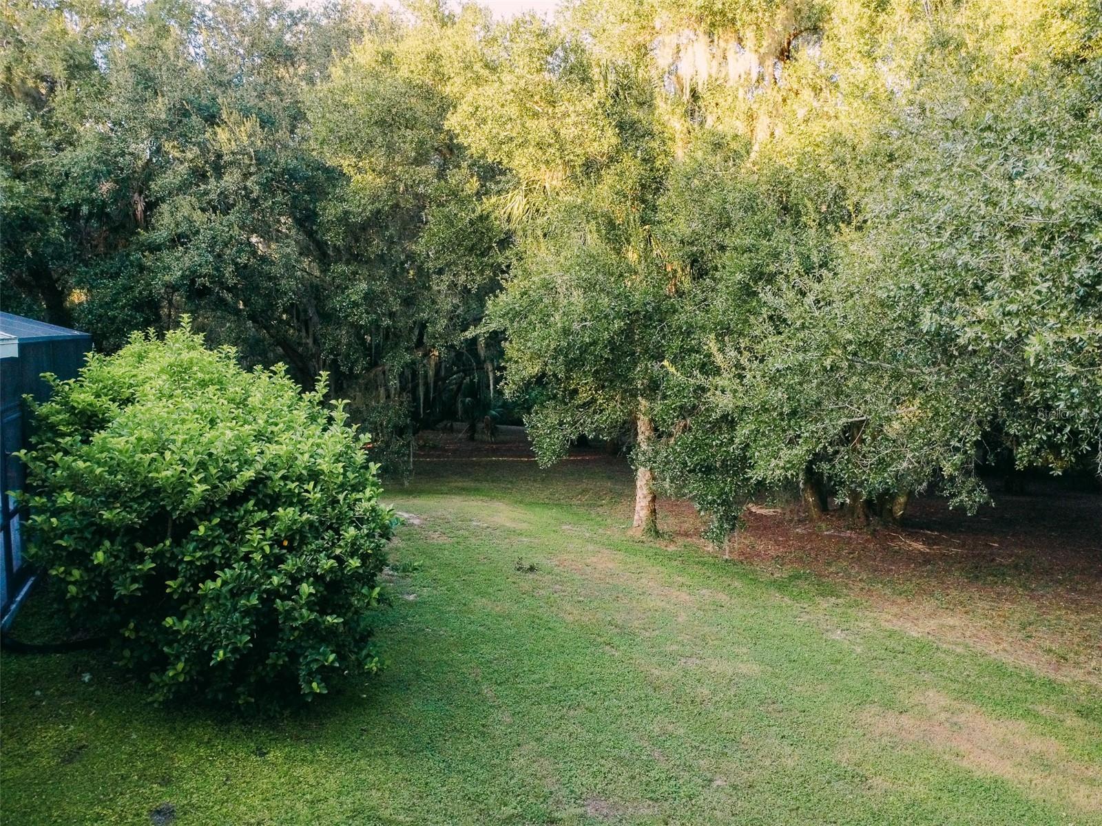 6425 TUSCAWILLA DR, LEESBURG, FL, 34748