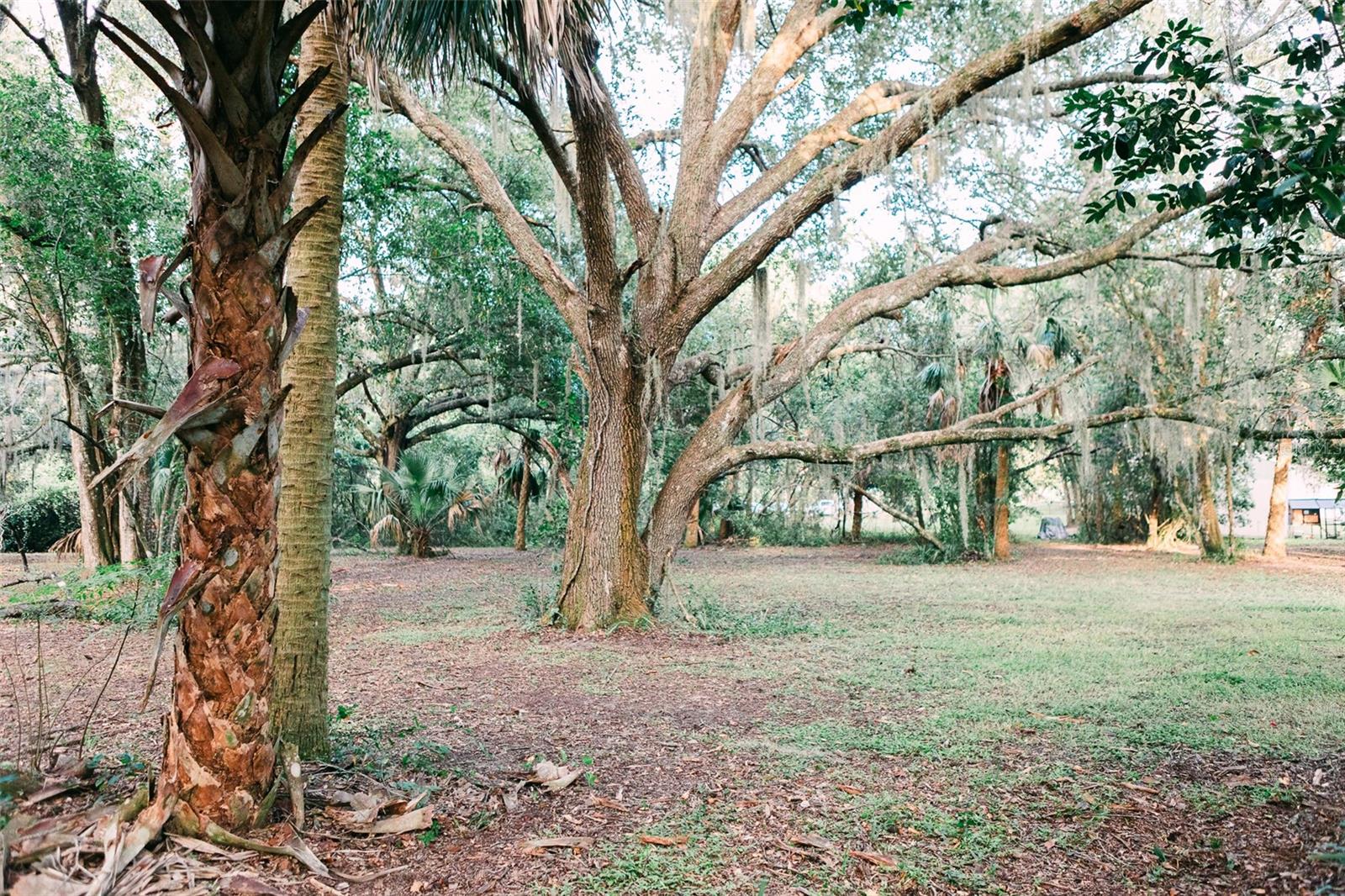 6425 TUSCAWILLA DR, LEESBURG, FL, 34748