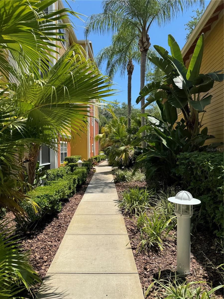 4207 S DALE MABRY HWY #10107, TAMPA, FL, 33611