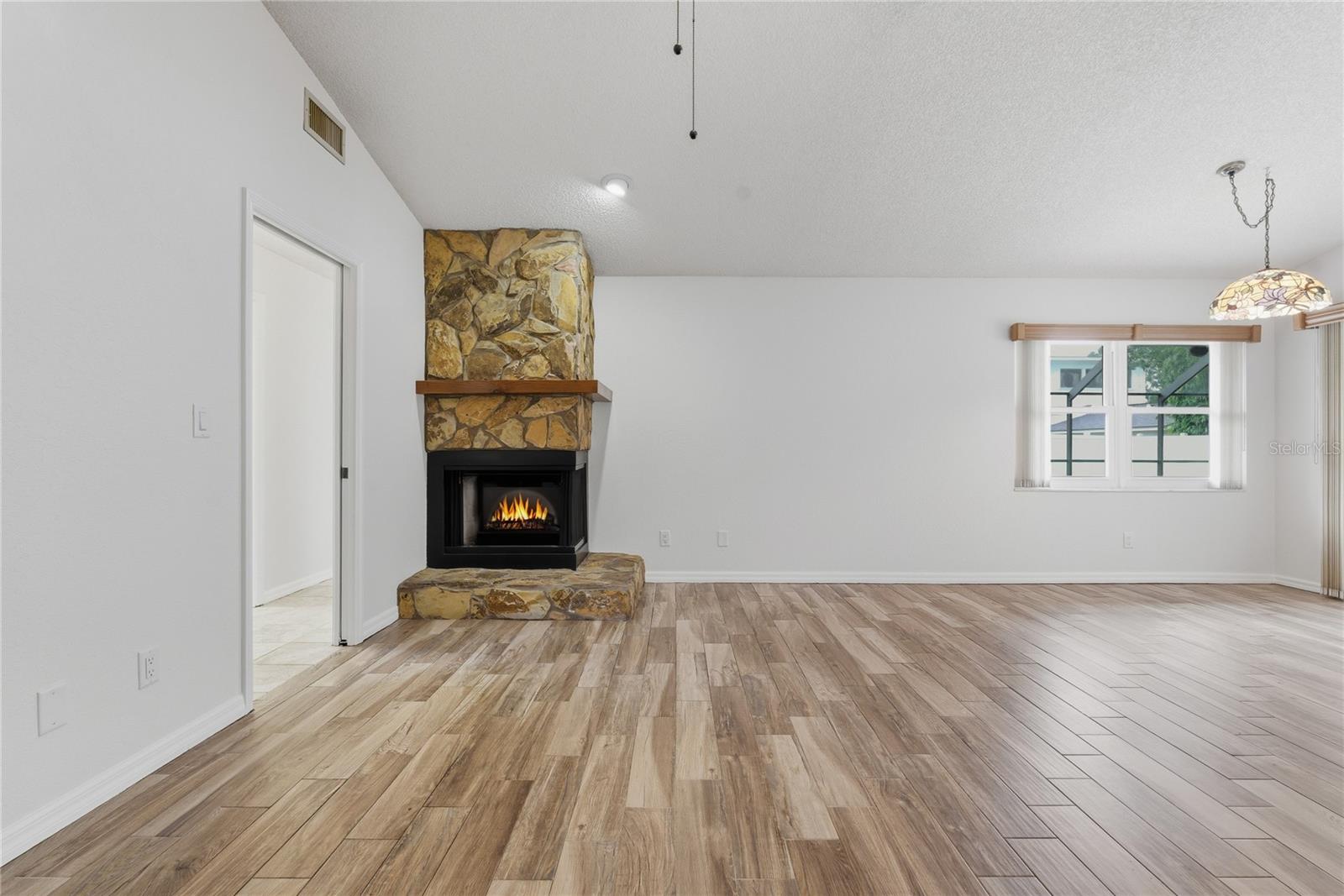 Great Room and Fireplace View