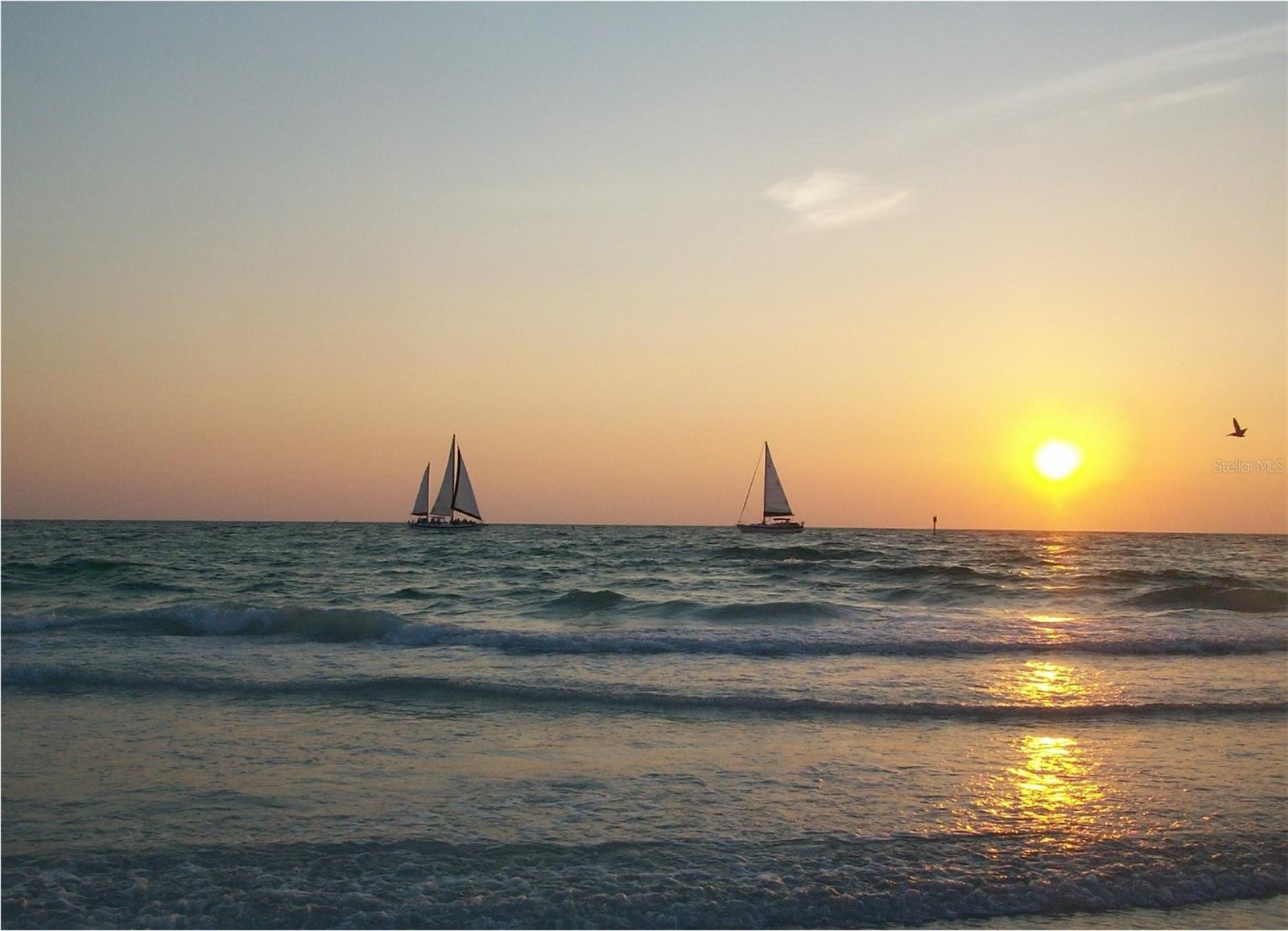 145 AVENIDA MESSINA #3, SARASOTA, FL, 34242