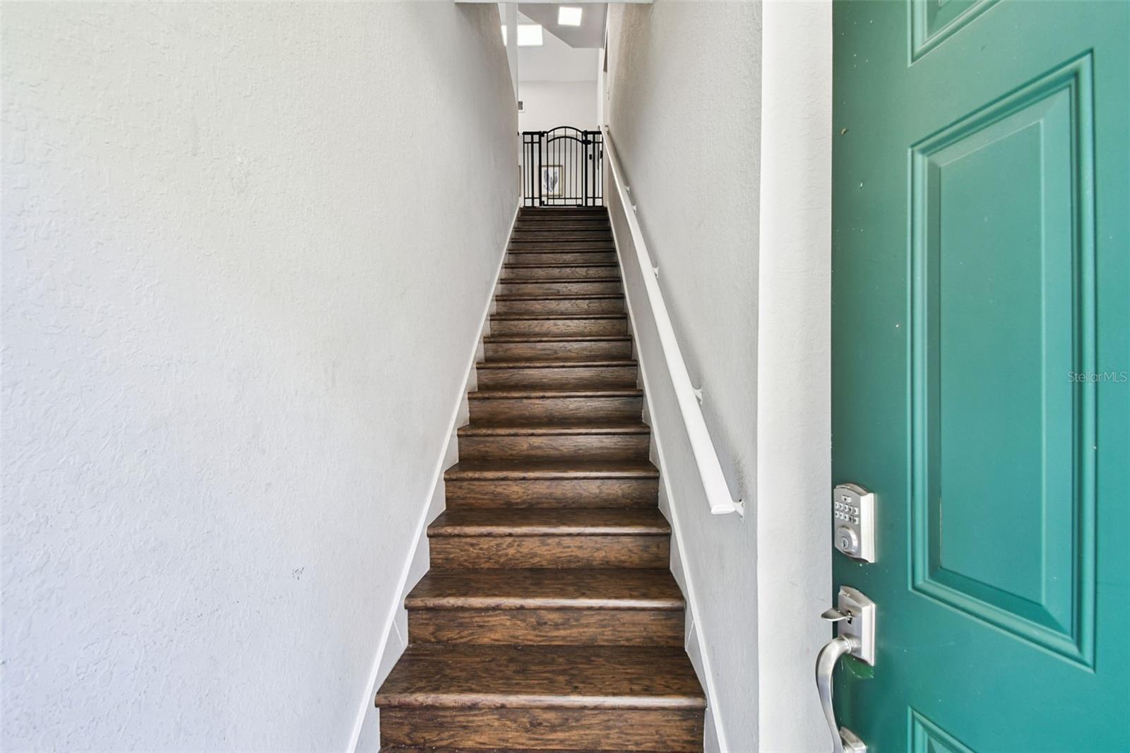 9064 LAKE CHASE ISLAND WAY, TAMPA, FL, 33626