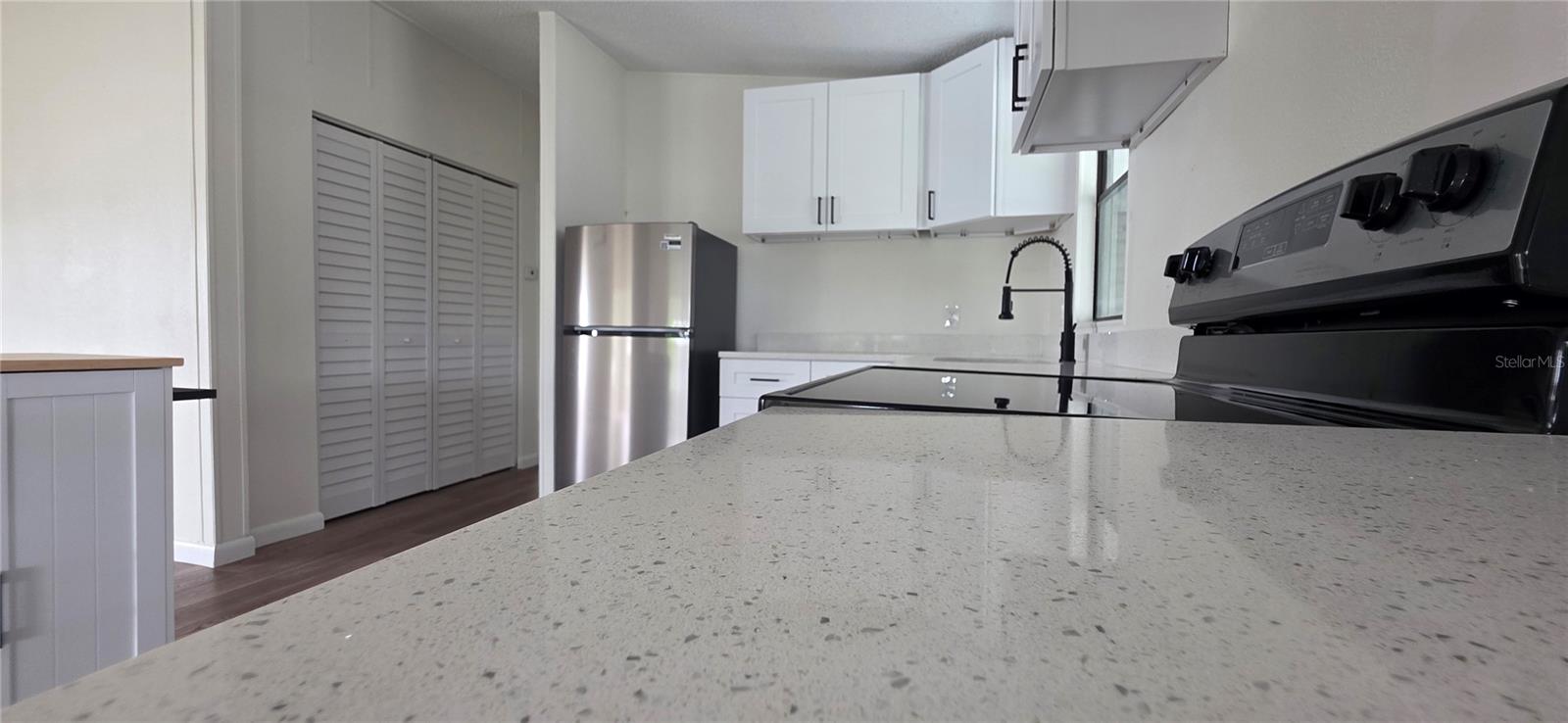 315 PAPAYA CIR, BAREFOOT BAY, FL, 32976