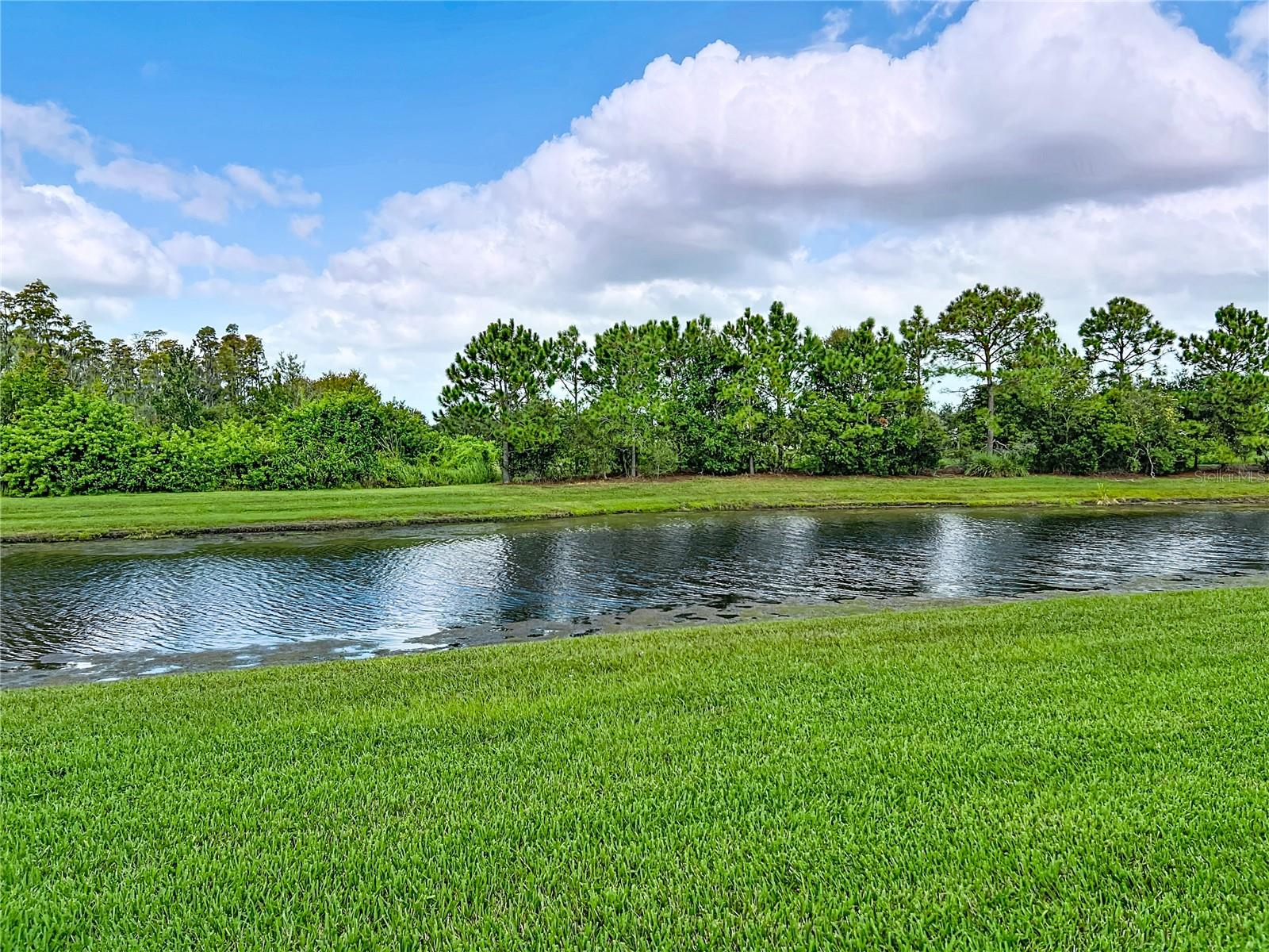 View from the lanai/back yard.
