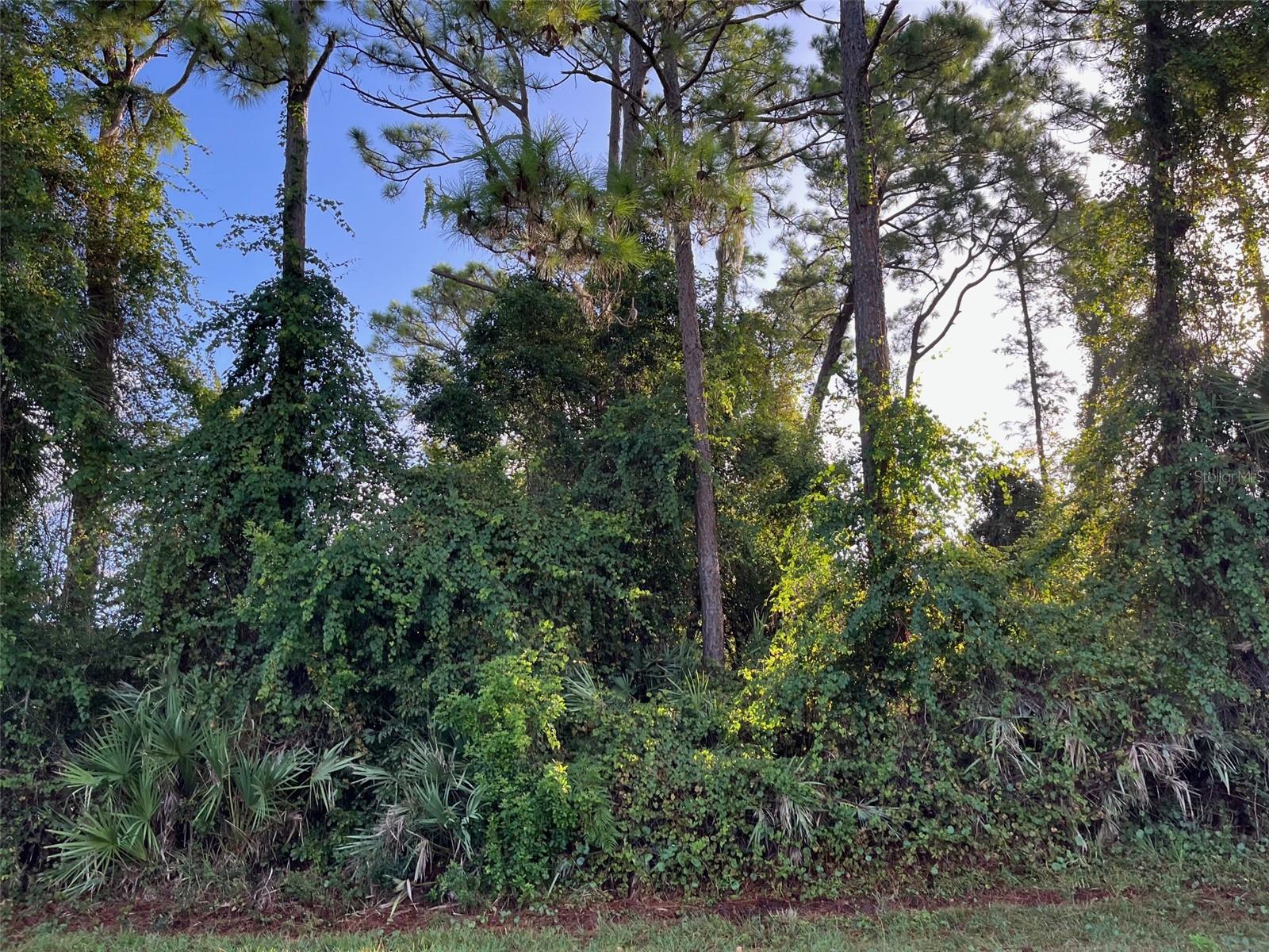 1927 TRAVELERS PALM DR, EDGEWATER, FL, 32141