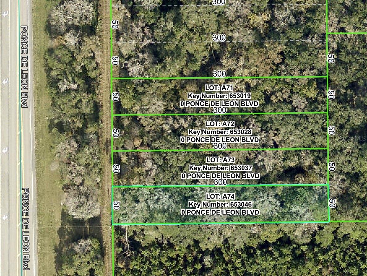 PONCE DE LEON BLVD, BROOKSVILLE, FL, 34601
