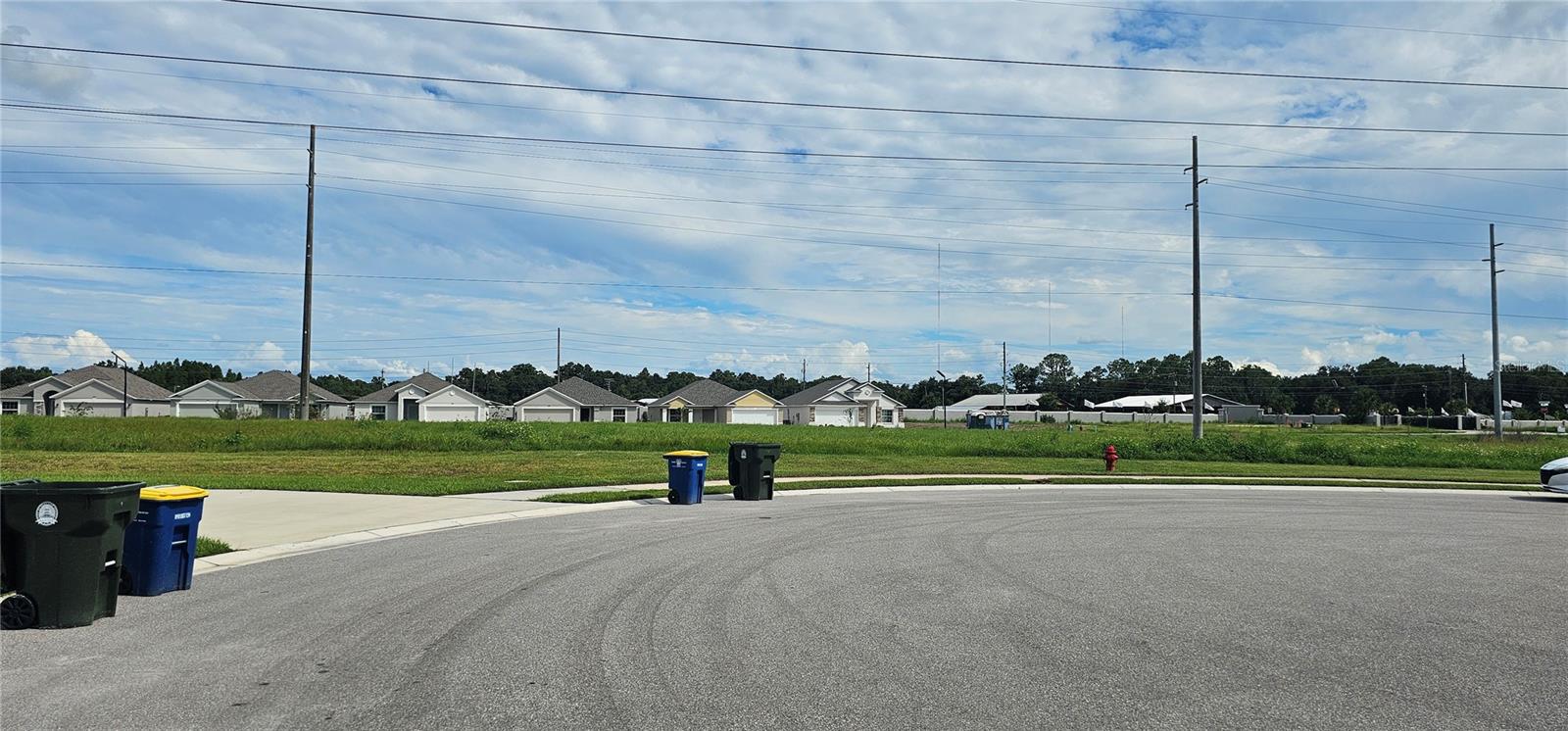 1984 THOMPSON PRESERVE BLVD, BARTOW, FL, 33830