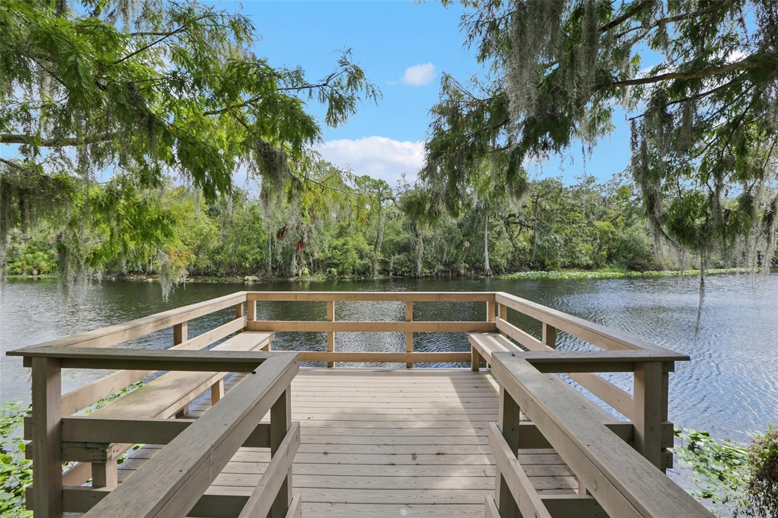 11507 ROBLES DEL RIO PL, TEMPLE TERRACE, FL, 33617