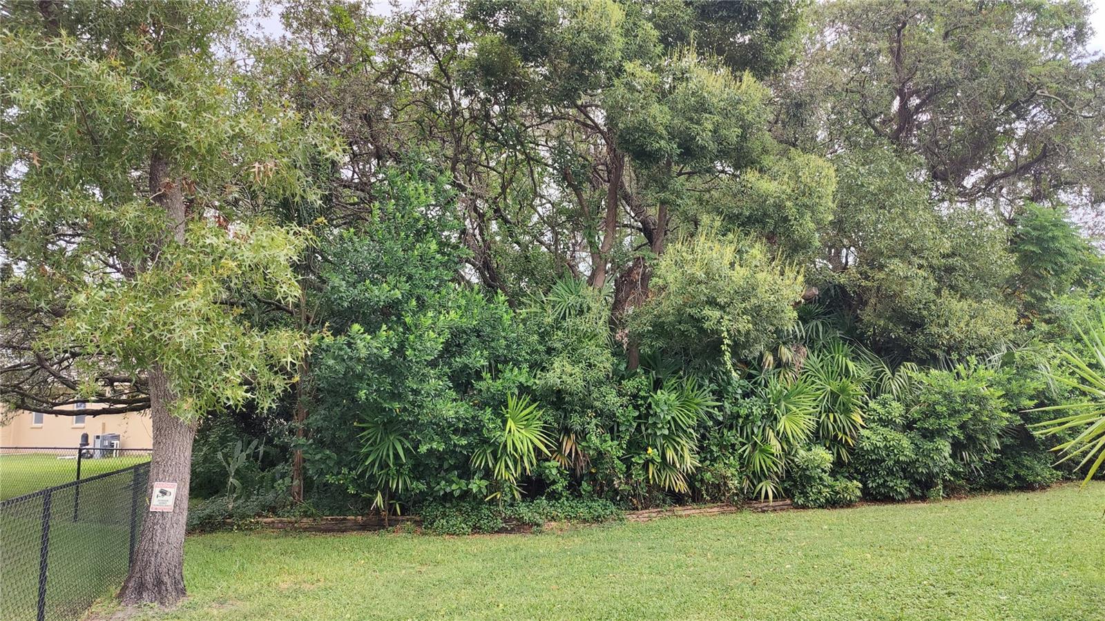 Back yard forest provides shade and privacy. Side fence belongs to neighbor.