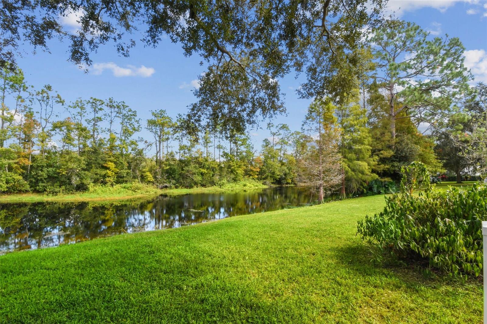 4952 EBENSBURG DR, TAMPA, FL, 33647