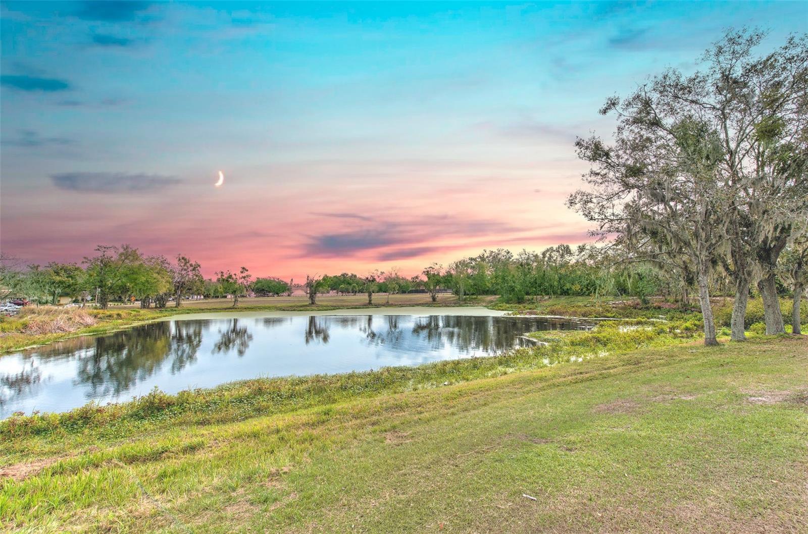 Tranquil pond view with wildlife sightings from your own backyard!