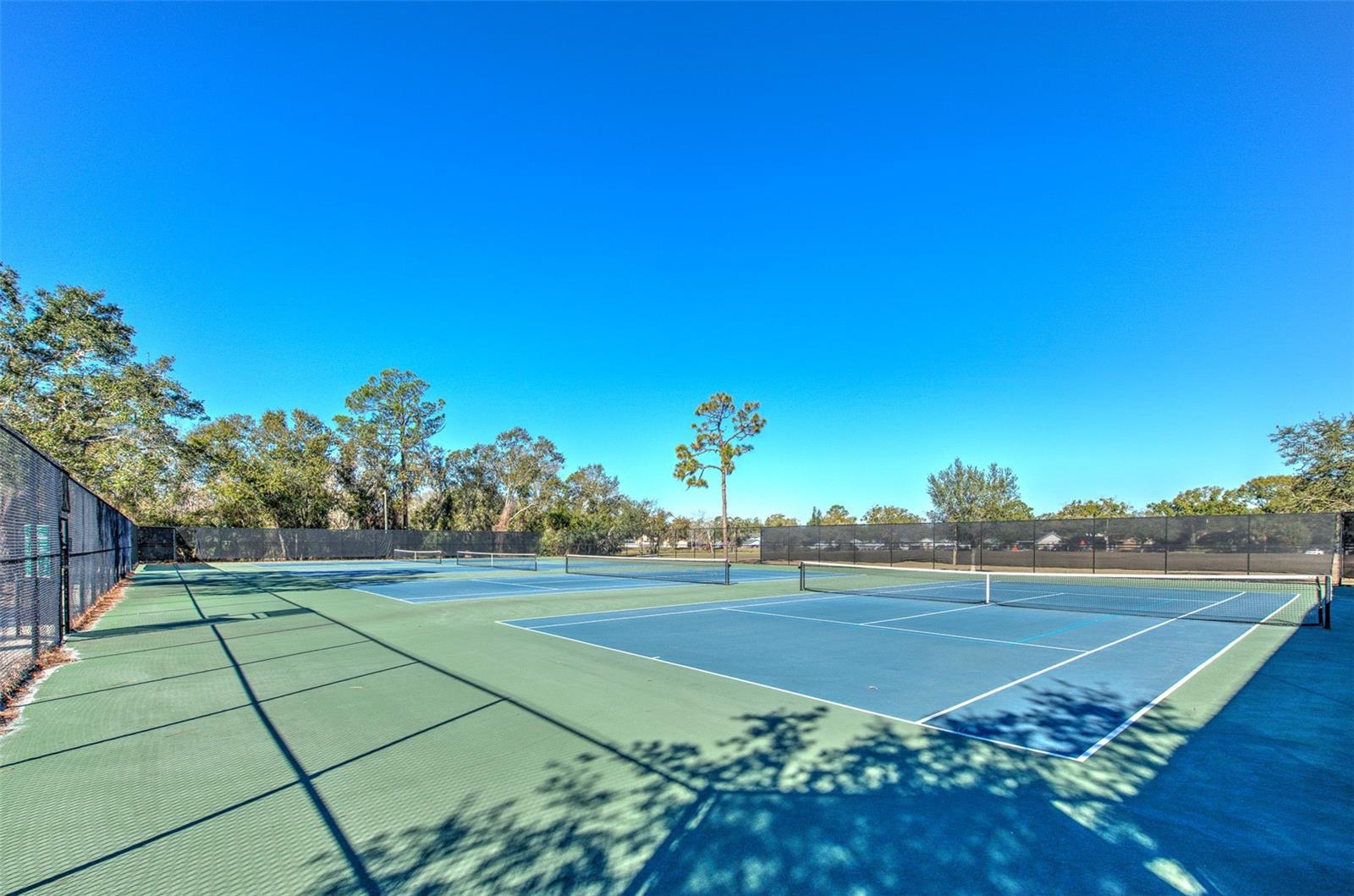 Neighborhood tennis courts