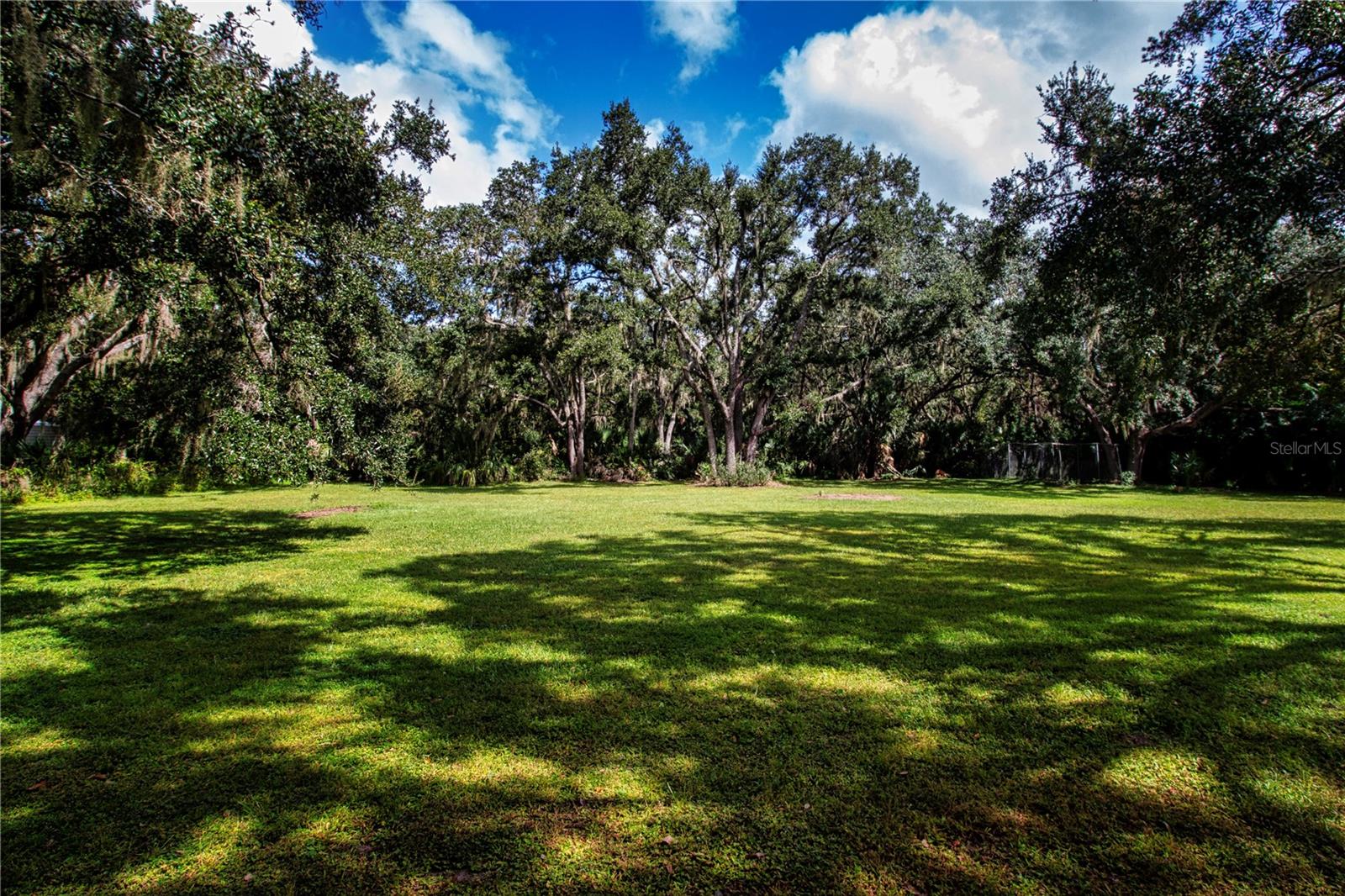 View of the back yard from outside the Florida room