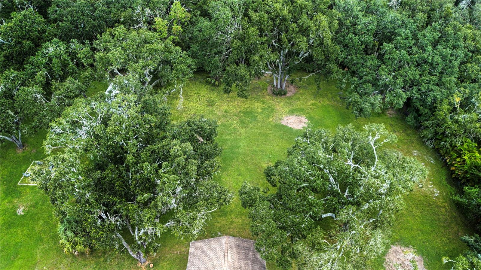 aerial view of back yard