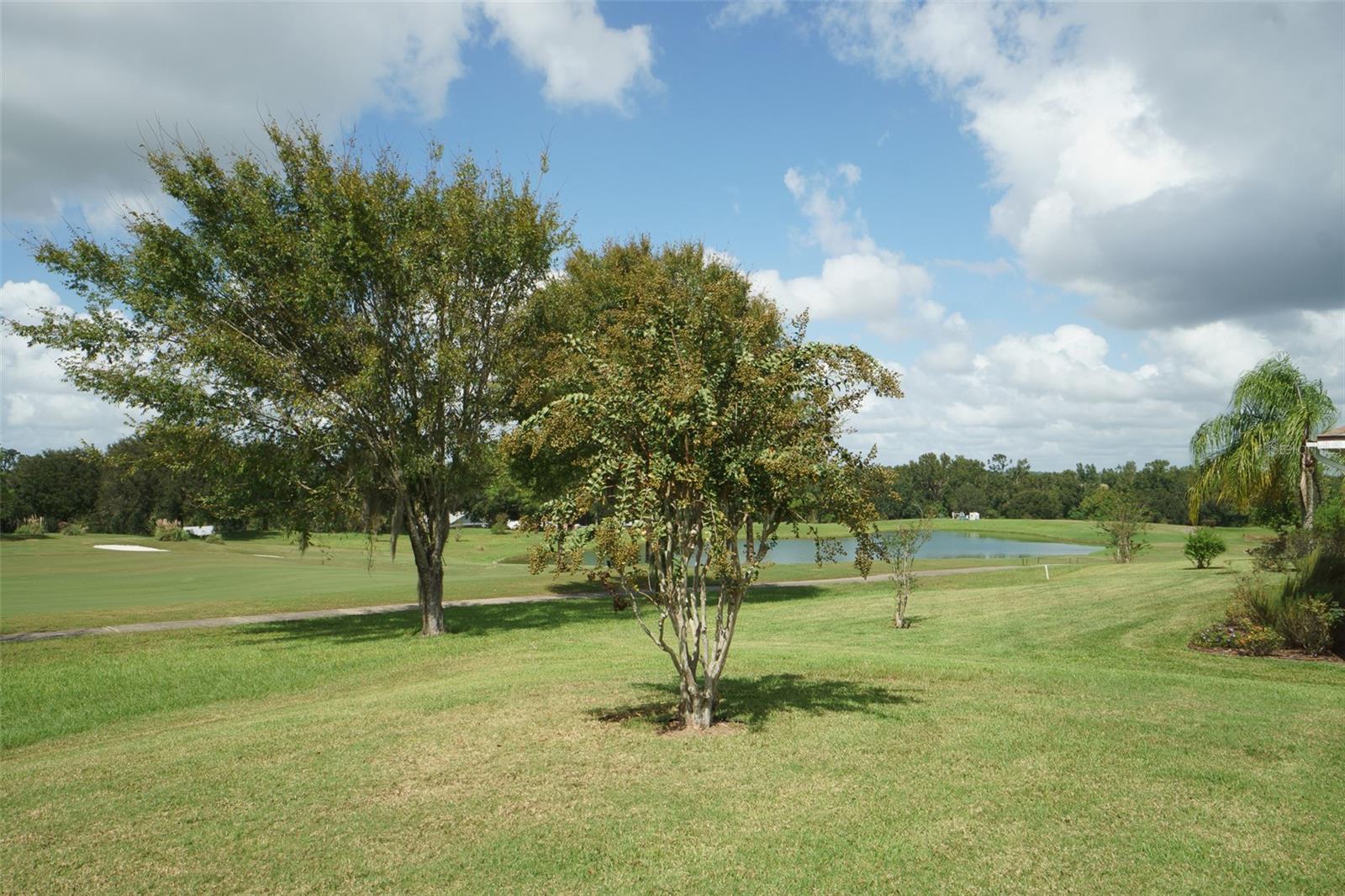 13217 THOROUGHBRED DR, DADE CITY, FL, 33525