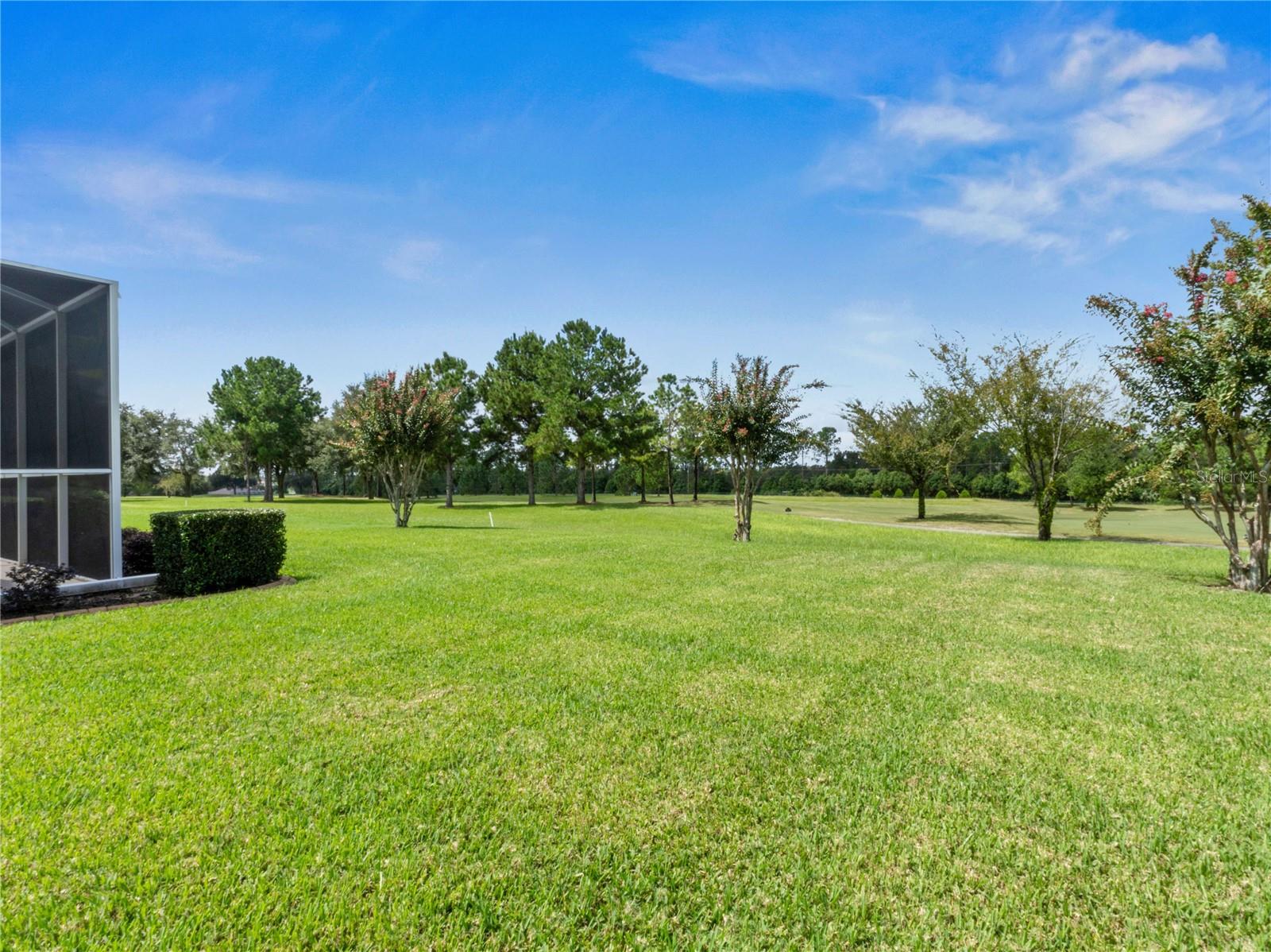 13217 THOROUGHBRED DR, DADE CITY, FL, 33525