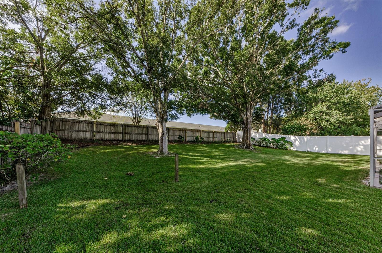 RARE LOT IN DUNEDIN WITH ALL THIS SPACE!!!