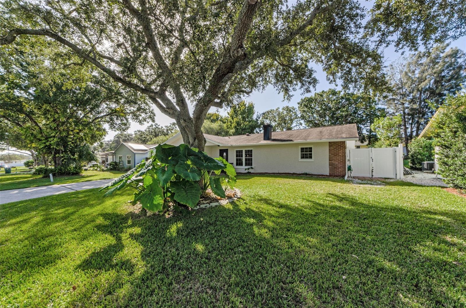 MATURE LANDSCAPING WITH CHARMING APPEAL