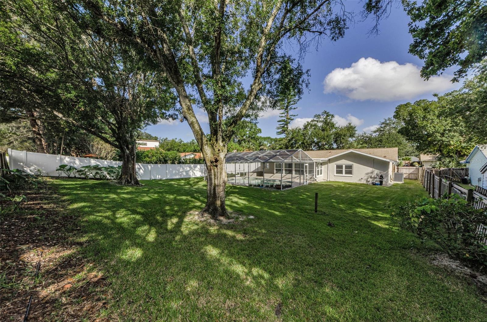 BEAUTIFUL MATURE TREES