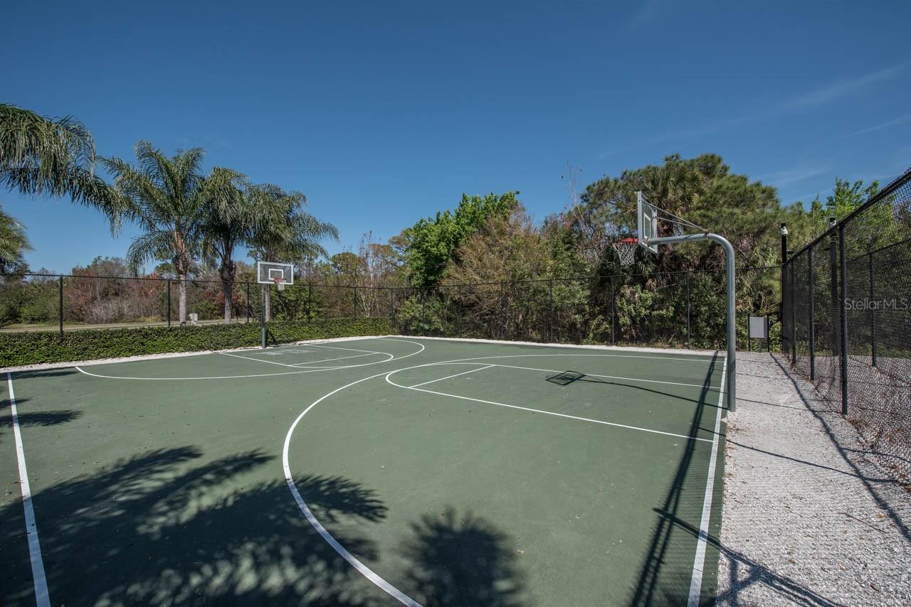 Basketball Court
