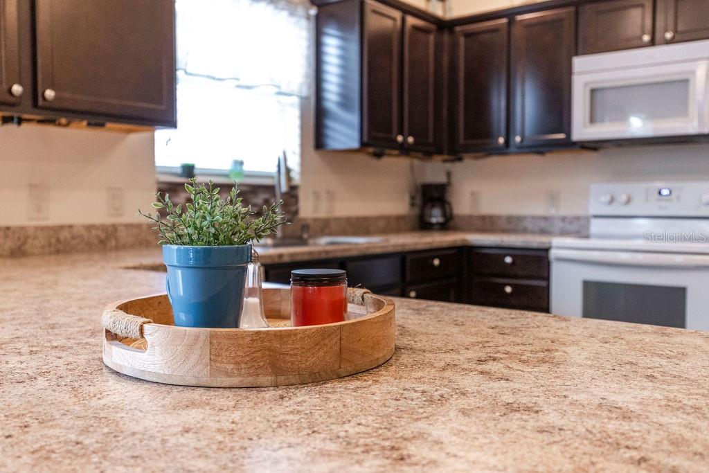 852 SAPPHIRE PL, THE VILLAGES, FL, 32163