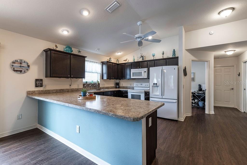 852 SAPPHIRE PL, THE VILLAGES, FL, 32163