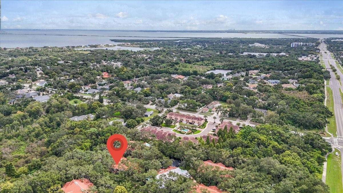 217 LOS PRADOS DR #217, SAFETY HARBOR, FL, 34695