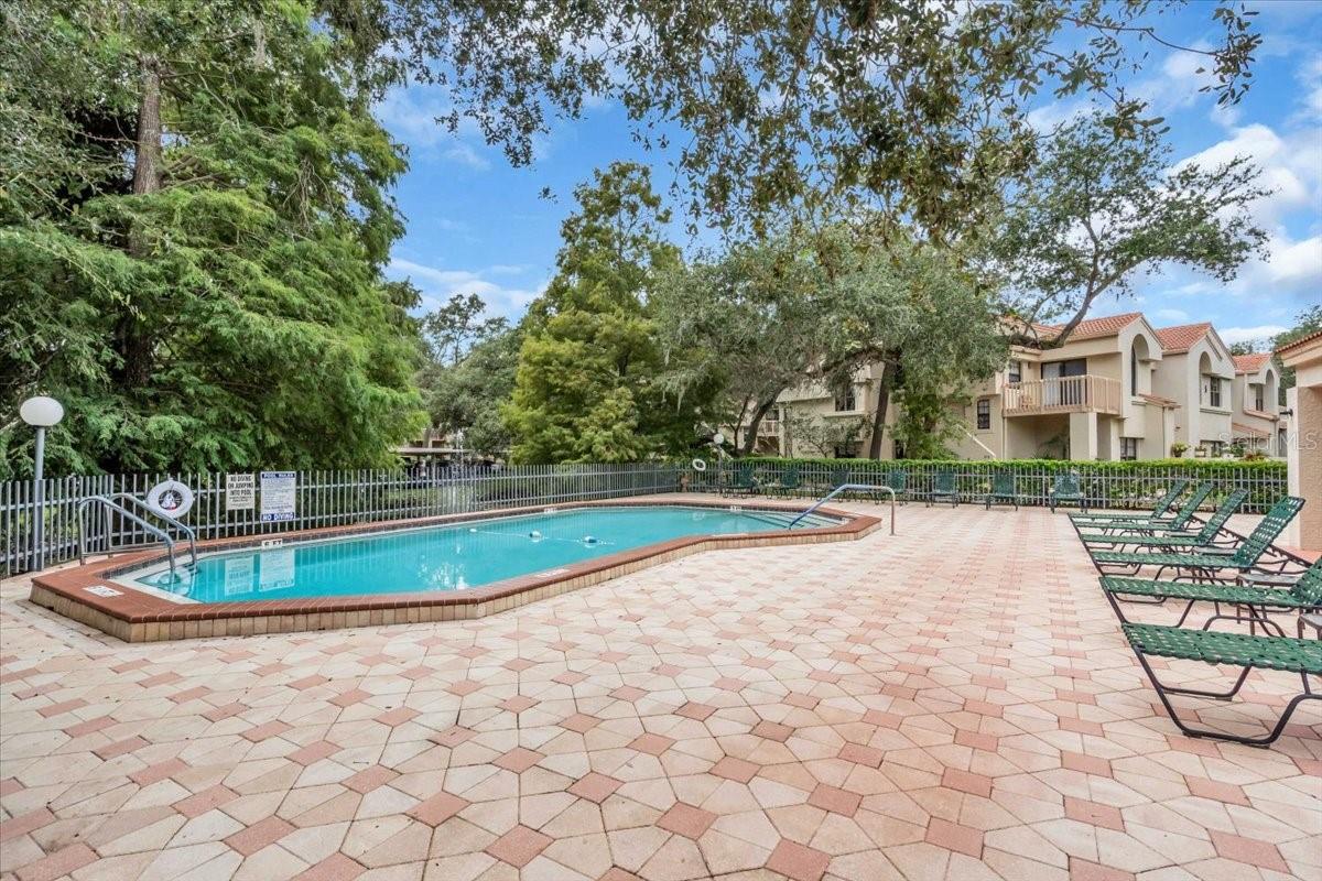 217 LOS PRADOS DR #217, SAFETY HARBOR, FL, 34695