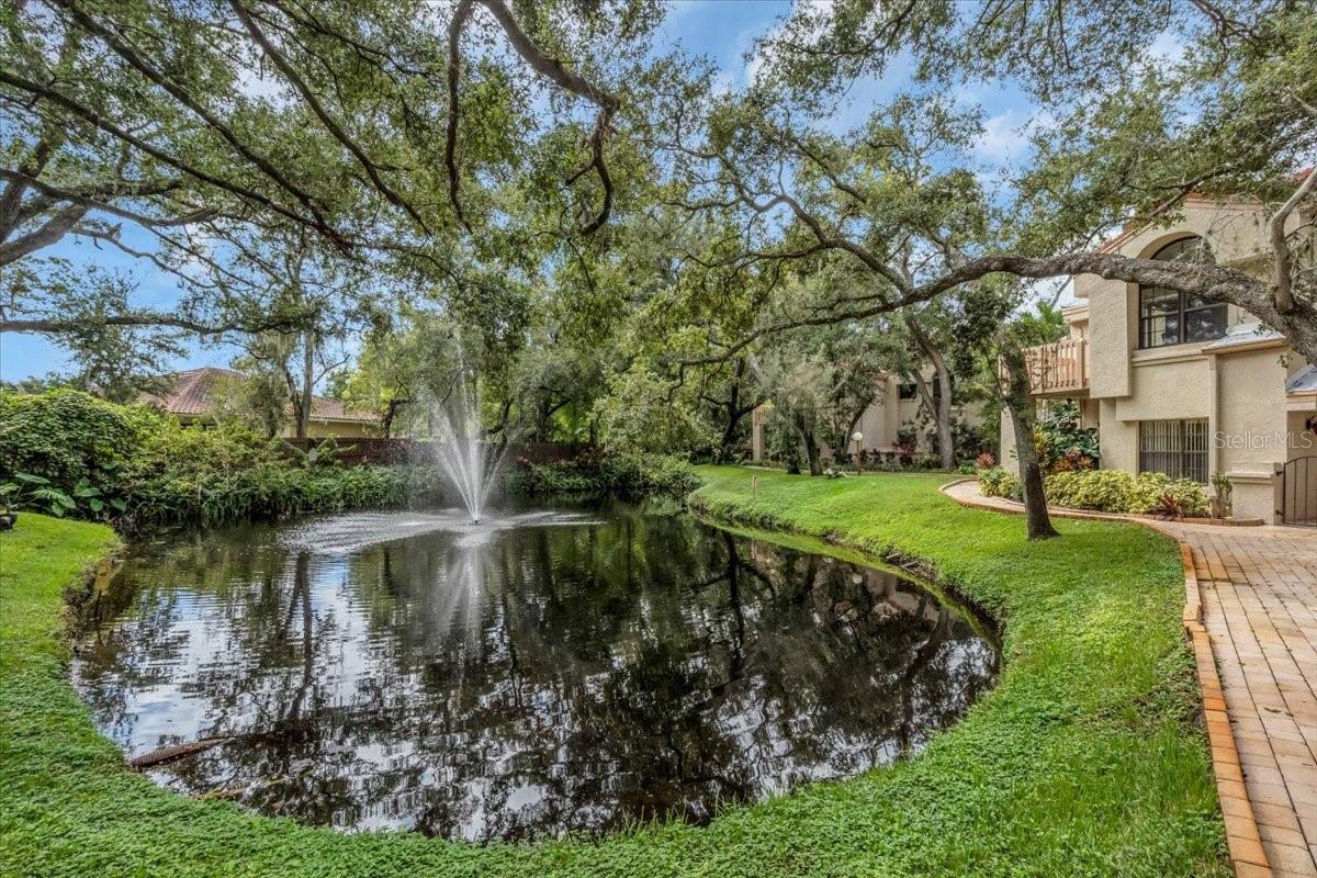 217 LOS PRADOS DR #217, SAFETY HARBOR, FL, 34695