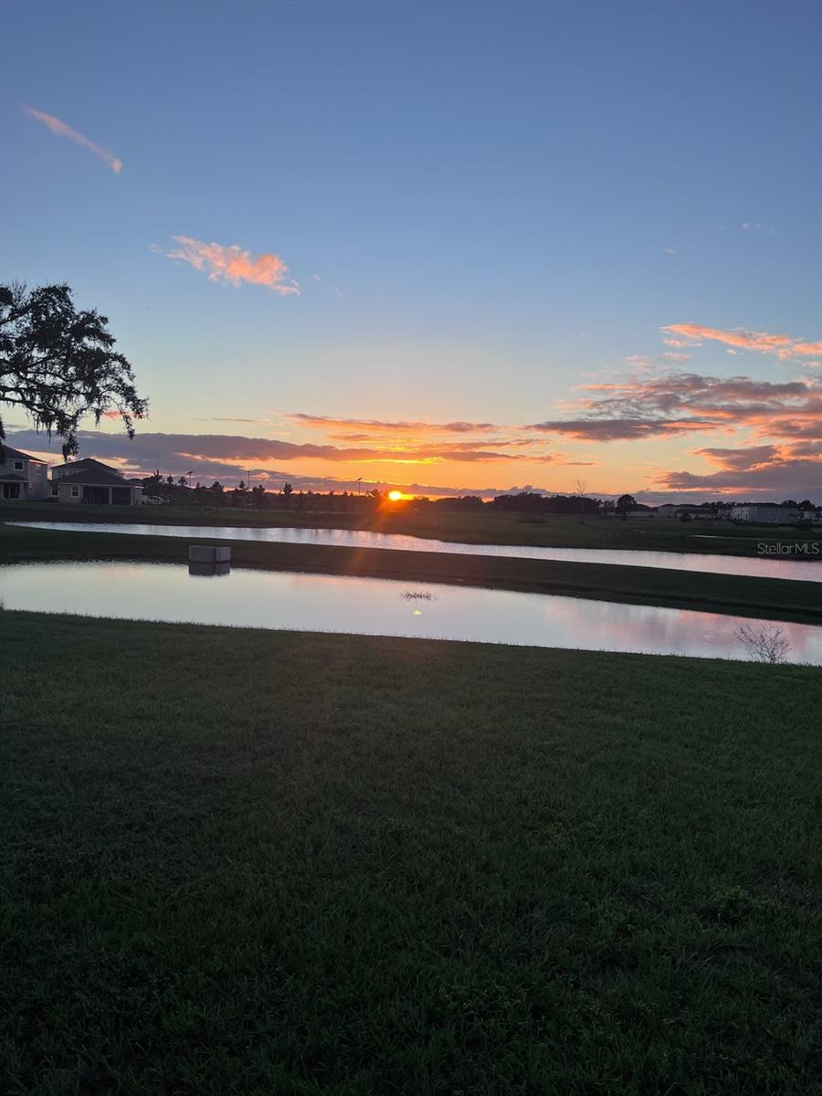 32805 OSPREY PEAK WAY, SAN ANTONIO, FL, 33576