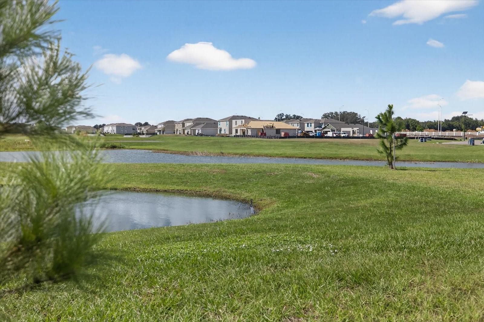 32805 OSPREY PEAK WAY, SAN ANTONIO, FL, 33576