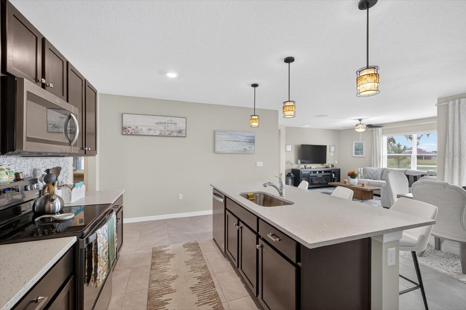 32805 OSPREY PEAK WAY, SAN ANTONIO, FL, 33576