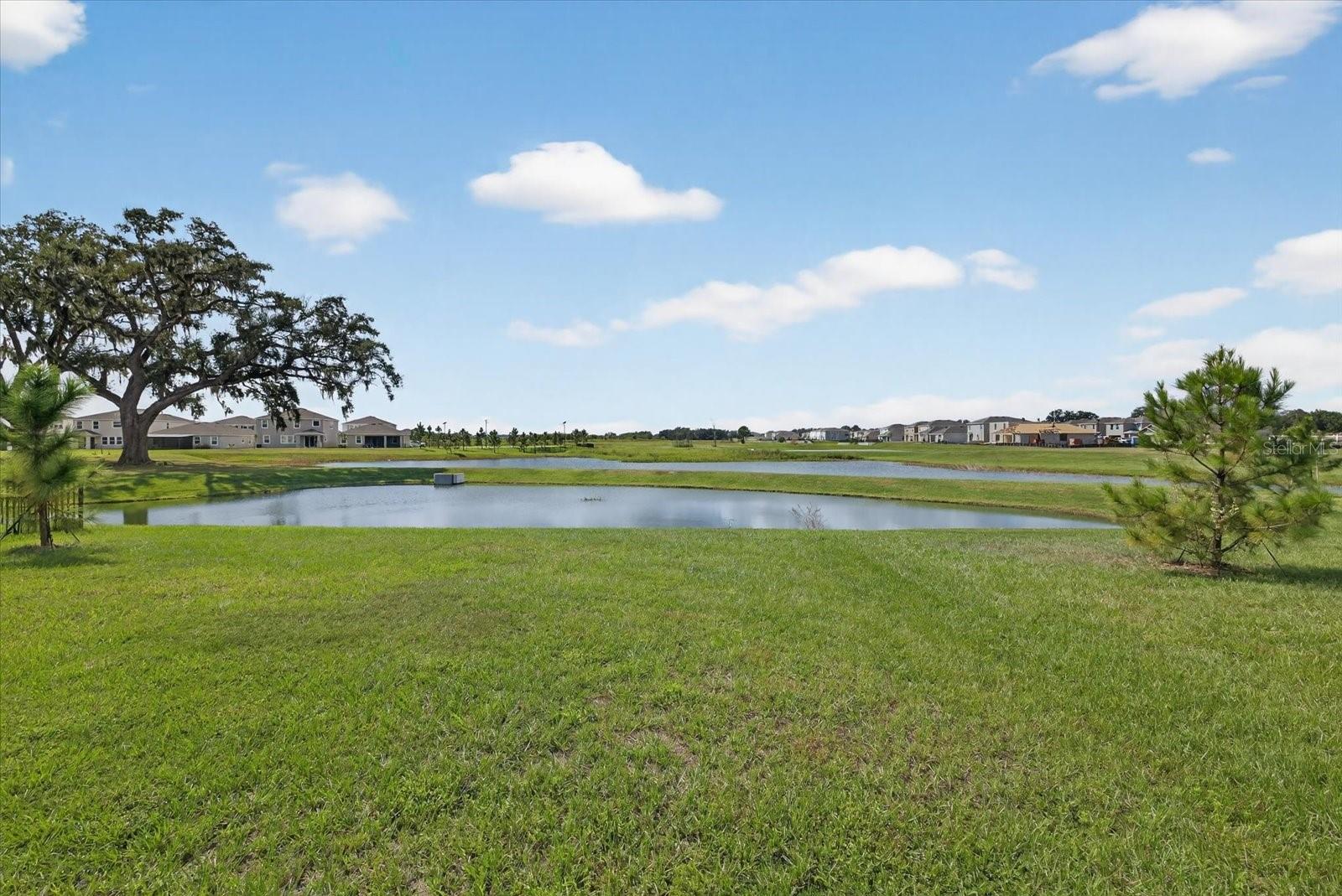 32805 OSPREY PEAK WAY, SAN ANTONIO, FL, 33576