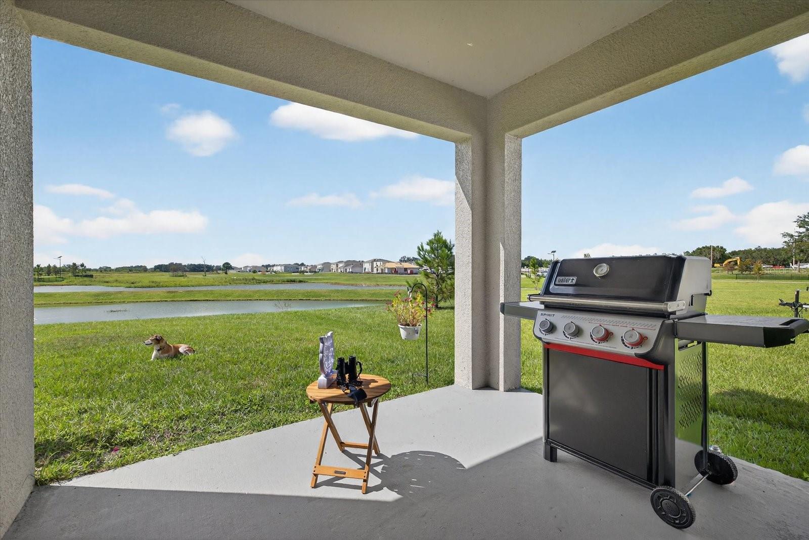 32805 OSPREY PEAK WAY, SAN ANTONIO, FL, 33576