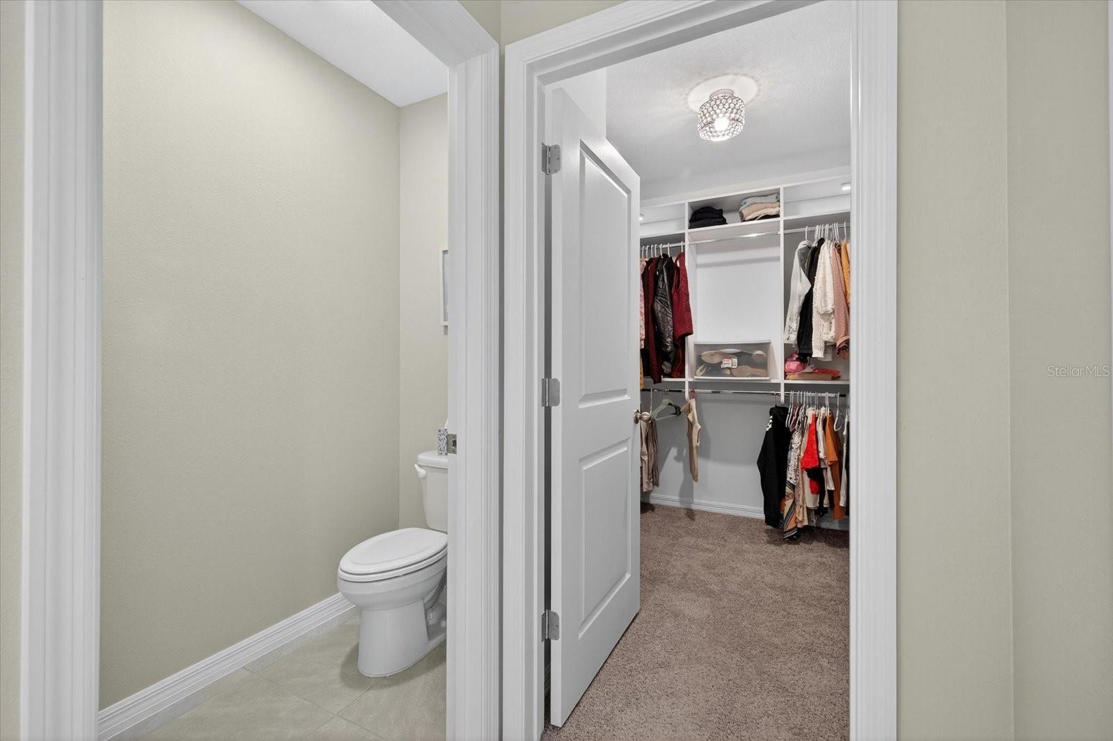 32805 OSPREY PEAK WAY, SAN ANTONIO, FL, 33576