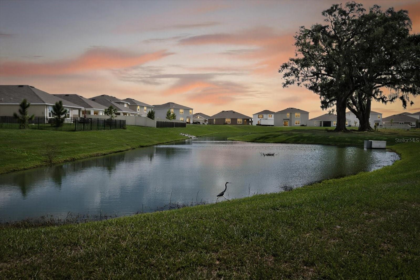 32805 OSPREY PEAK WAY, SAN ANTONIO, FL, 33576