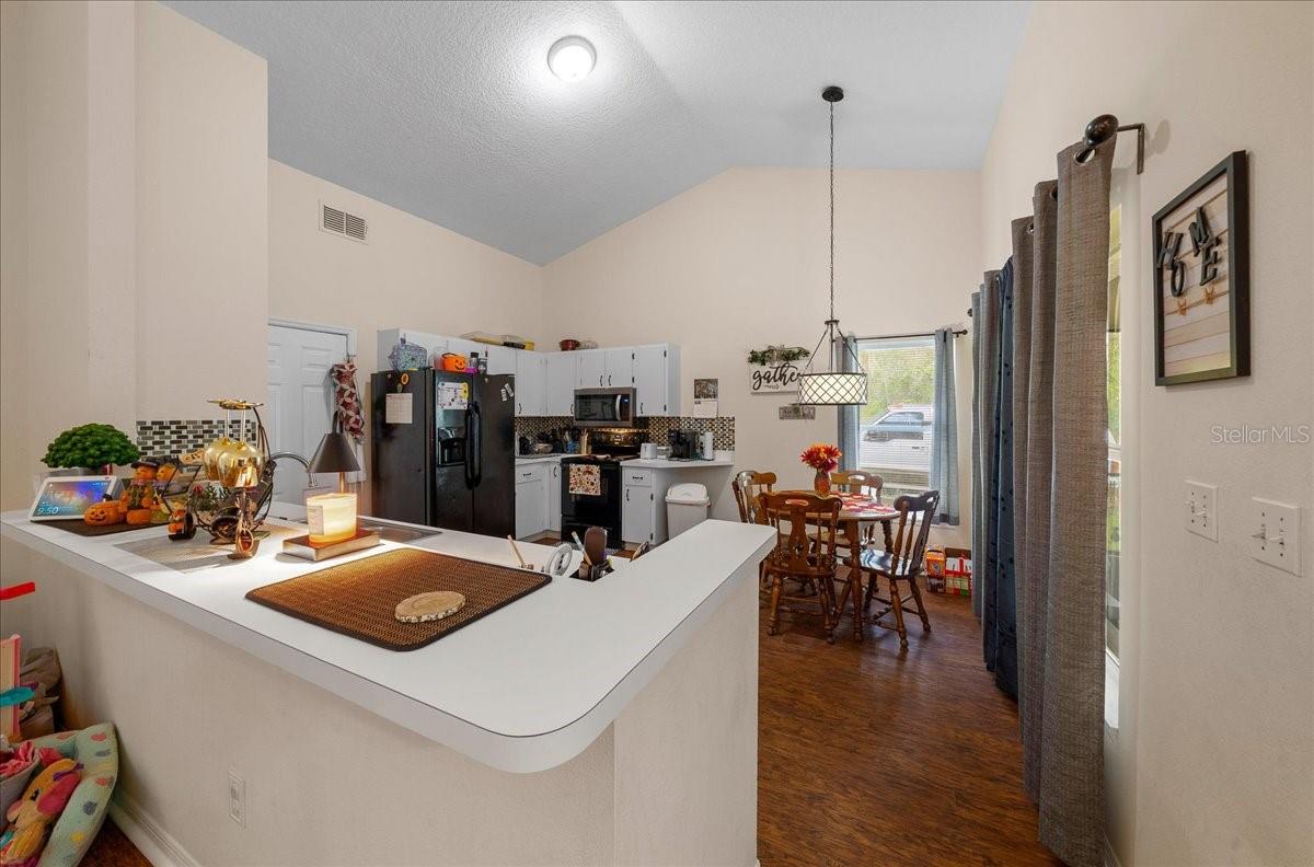 4435 LEMON ST, LADY LAKE, FL, 32159