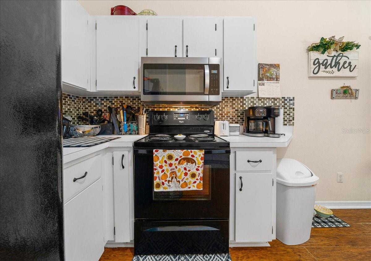 4435 LEMON ST, LADY LAKE, FL, 32159