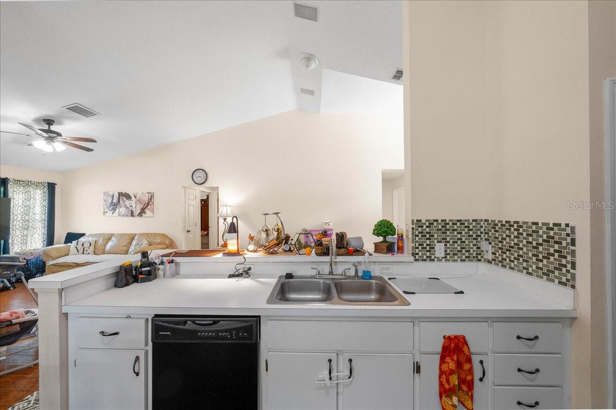 4435 LEMON ST, LADY LAKE, FL, 32159